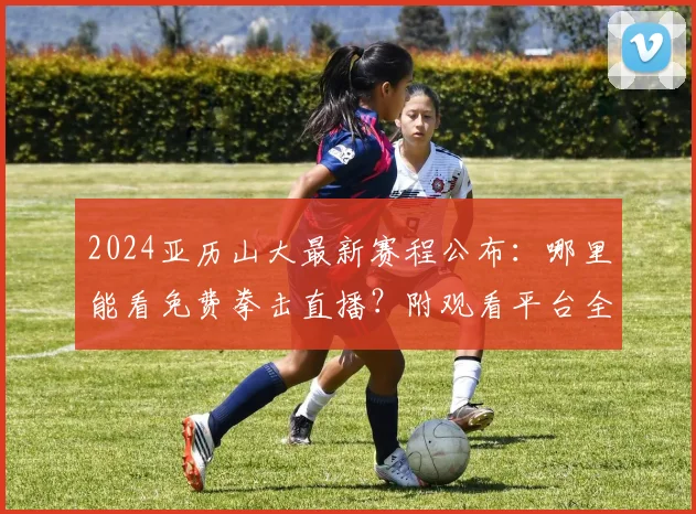 2024亚历山大最新赛程公布：哪里能看免费拳击直播？附观看平台全指南